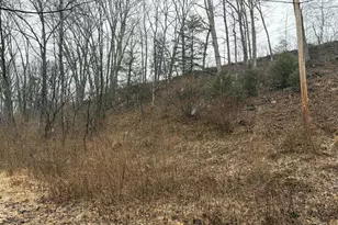 986 Rushing River Rd, Augusta, WV 26704 - Photo 23