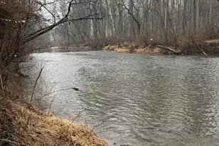 986 Rushing River Rd, Augusta, WV 26704 - Photo 39