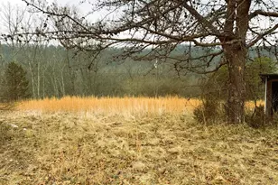 986 Rushing River Rd, Augusta, WV 26704 - Photo 29