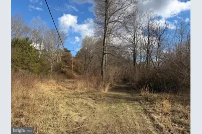 986 Rushing River Road, Augusta, WV 26704 - Photo 39