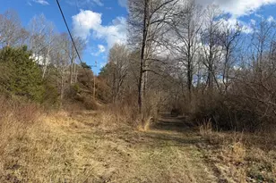 986 Rushing River Rd, Augusta, WV 26704 - Photo 39