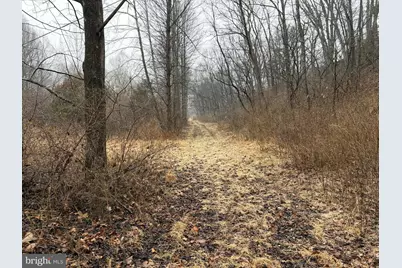 986 Rushing River Road, Augusta, WV 26704 - Photo 31