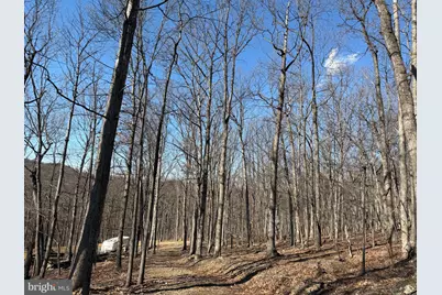 Goldsborough Road, Springfield, WV 26763 - Photo 9