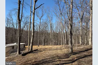 Goldsborough Road, Springfield, WV 26763 - Photo 7