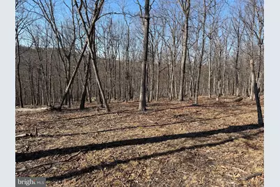 Goldsborough Road, Springfield, WV 26763 - Photo 13