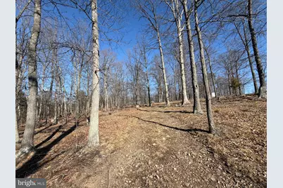 Goldsborough Road, Springfield, WV 26763 - Photo 15