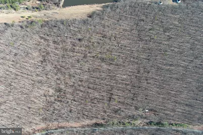 21-C Lake Ferndale, Springfield, WV 26763 - Photo 65