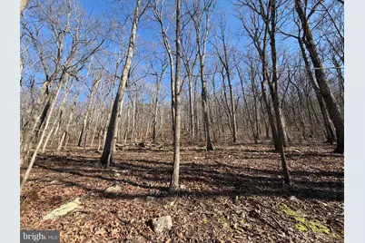 21-C Lake Ferndale, Springfield, WV 26763 - Photo 17