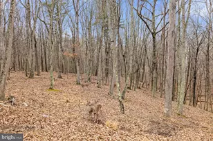 2368 Crossings View Rd, Paw Paw, WV 25434 - Photo 77