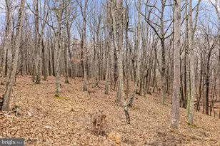 2368 Crossings View Rd, Paw Paw, WV 25434 - Photo 75