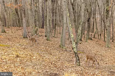 2368 Crossings View Road, Paw Paw, WV 25434 - Photo 83