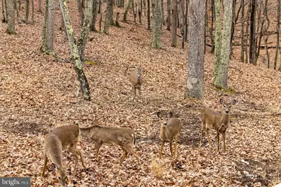 2368 Crossings View Road, Paw Paw, WV 25434 - Photo 89