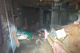 449 Harmison Ln, Romney, WV 26757 - Photo 61