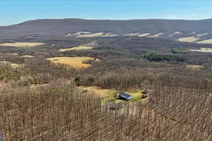 3688 Ash Ruckman Rd, Augusta, WV 26704 - Photo 57