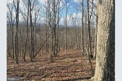 Lot 13-A Beam Rd., Romney, WV 26757 - Photo 11