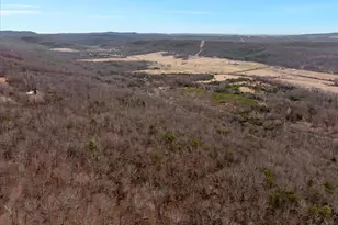 515 Old Fire Tower Rd, Capon Bridge, WV 26711 - Photo 103