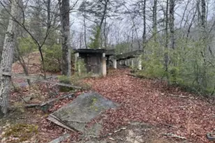 183 Wilson Rd, Capon Bridge, WV 26711 - Photo 5