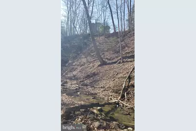 183 Wilson Road, Capon Bridge, WV 26711 - Photo 11