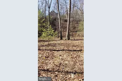 183 Wilson Road, Capon Bridge, WV 26711 - Photo 9