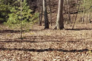 183 Wilson Rd, Capon Bridge, WV 26711 - Photo 9