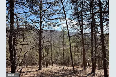 29 Hamilton Estates, Romney, WV 26757 - Photo 15