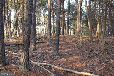 29 Hamilton Estates, Romney, WV 26757 - Photo 55