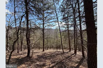 29 Hamilton Estates, Romney, WV 26757 - Photo 39