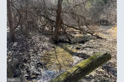 29 Hamilton Estates, Romney, WV 26757 - Photo 21