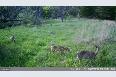 29 Hamilton Estates, Romney, WV 26757 - Photo 49