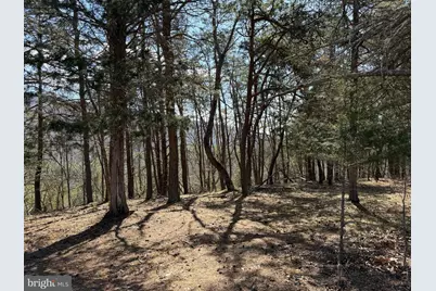 29 Hamilton Estates, Romney, WV 26757 - Photo 37