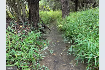 29 Hamilton Estates, Romney, WV 26757 - Photo 19