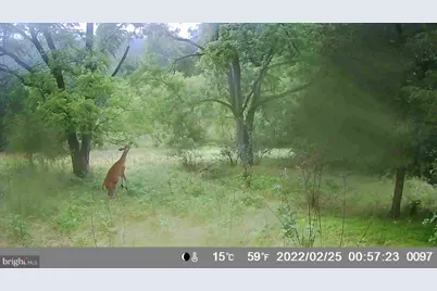 29 Hamilton Estates, Romney, WV 26757 - Photo 47