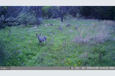 29 Hamilton Estates, Romney, WV 26757 - Photo 45