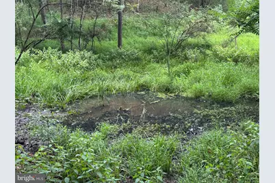 32 Hamilton Estates, Romney, WV 26757 - Photo 31