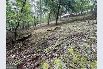 32 Hamilton Estates, Romney, WV 26757 - Photo 29