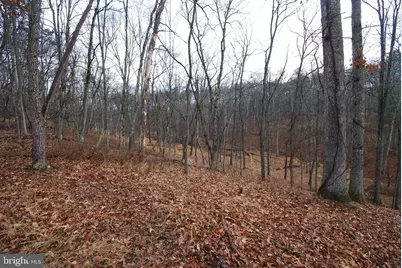 Lot 21 White Mountain Way, Romney, WV 26757 - Photo 21