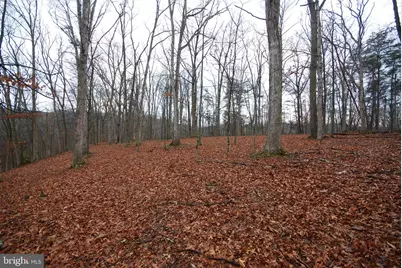 Lot 21 White Mountain Way, Romney, WV 26757 - Photo 5