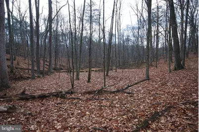 Lot 21 White Mountain Way, Romney, WV 26757 - Photo 17