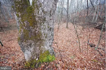 Lot 21 White Mountain Way, Romney, WV 26757 - Photo 9