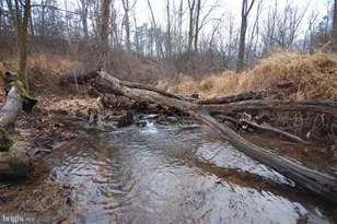 Lot 21 White Mountain Way, Romney, WV 26757 - Photo 1