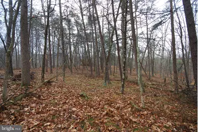 Lot 21 White Mountain Way, Romney, WV 26757 - Photo 11