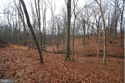 Lot 21 White Mountain Way, Romney, WV 26757 - Photo 15