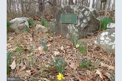 Lot 13 Fawn Drive, Springfield, WV 26763 - Photo 1