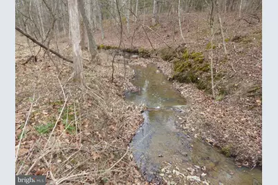 Lot 13 Fawn Drive, Springfield, WV 26763 - Photo 7