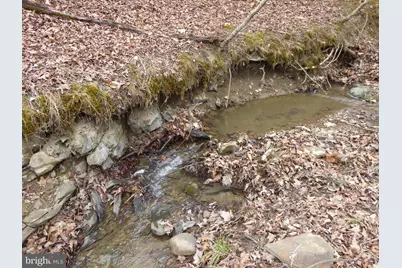 Lot 13 Fawn Drive, Springfield, WV 26763 - Photo 5