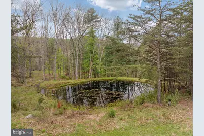 272 Buster Brown Dr., Rio, WV 26755 - Photo 109