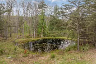 272 Buster Brown Dr, Rio, WV 26755 - Photo 109