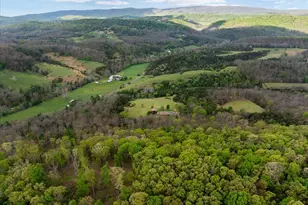 272 Buster Brown Dr, Rio, WV 26755 - Photo 93
