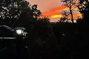 80 Scotsmans Glen Rd, Capon Bridge, WV 26711 - Photo 5