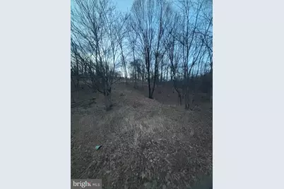 Lost Run, Levels, WV 25431 - Photo 1